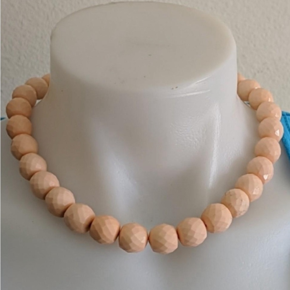 Brand new necklace nwt